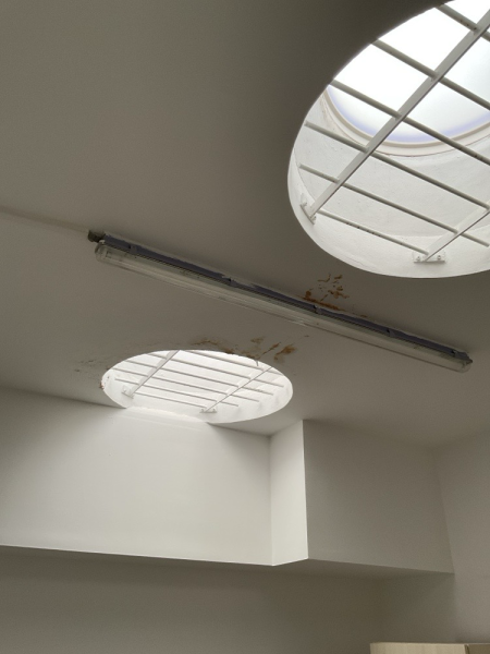 Helle EG-Bürofläche in Neukölln zu vermieten Bild 4