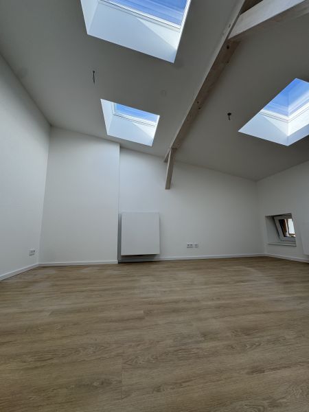 Erstbezug: Neubau-Dachgeschosswohnung – ökologisch & stilvoll 72,66 qm Bild 0