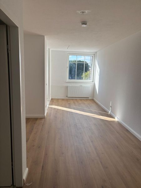 1 Zimmer direkt in Oranienburg frisch renoviert Bild 3